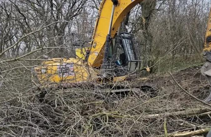 У Несвічі без дозволів викорчували дерева біля дороги (фото)