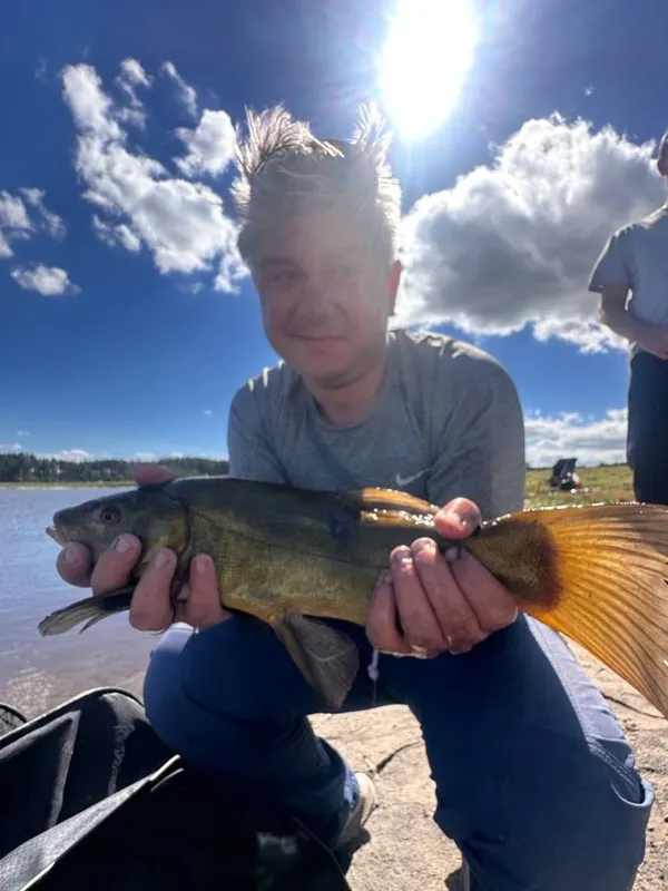 На «Волинських Мальдівах» виловили понад 104 кг риби – Big Fish чемпіонату спіймав волинянин (фото)