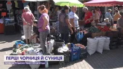 На луцьких ринках з’явилися перші чорниці і суниці (відео)