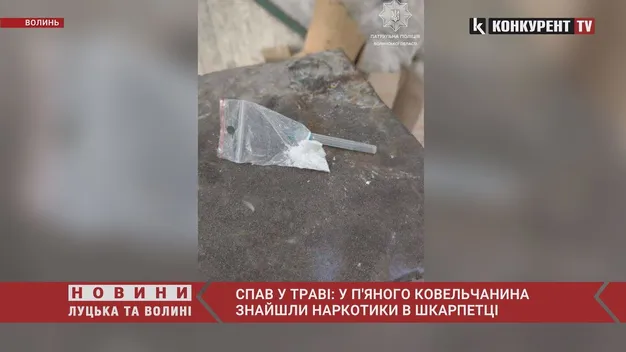 Спав у траві: у п'яного ковельчанина знайшли наркотики в шкарпетці (фото, відео)
