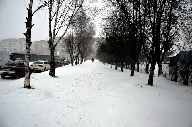 Люті зими повертаються: Луцьк замело снігом (фото)