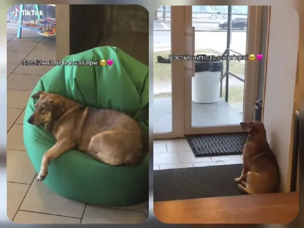 Скриншот з відео