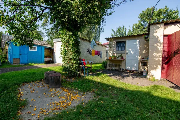 Волинський умілець виготовляє унікальні дерев'яні іграшки (фото)