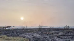 У Луцькому районі горіли півтора гектара сухостою (фото)