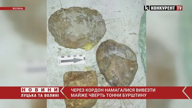Через «Ягодин» з України намагалися вивезти майже чверть тонни бурштину (фото, відео)