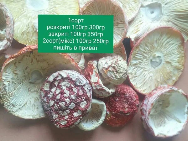 Скільки коштують сушені мухомори на Волині
