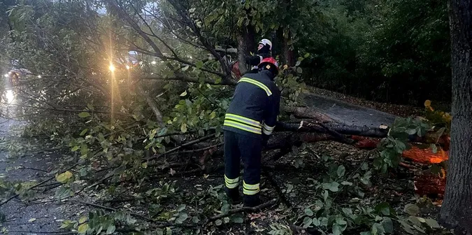 У Луцьку дерево пошкодило лінії електропередач (фото)