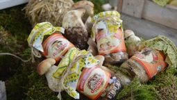 Волинські лісівники презентували свою продукцію на святі урожаю (Фото)