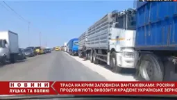 Траса на Крим заповнена вантажівками: росіяни продовжують вивозити українське зерно (відео)