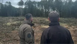 Екологи шоковані: на Волині вирубали ліс на 10 мільйонів (фото)