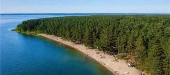 Де найкраще купатися на Волині: 10 озер із чистою водою, піщаними пляжами та неймовірними краєвидами