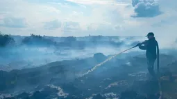 На Волині гасили пожежі на гектарах чагарників і торф’яників: що відомо (фото)