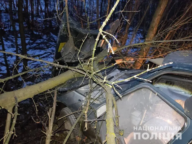 Водій був п'яним: на Волині авто злетіло в кювет і в'їхало в дерево (фото, відео)