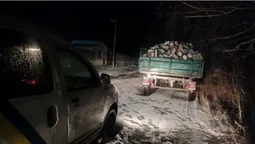 Пропонував тисячу гривень: на Волині впіймали чоловіка з повним причепом дров (фото, відео)