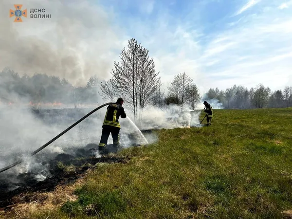 На Волині другу добу палає велике торфовище (фото)