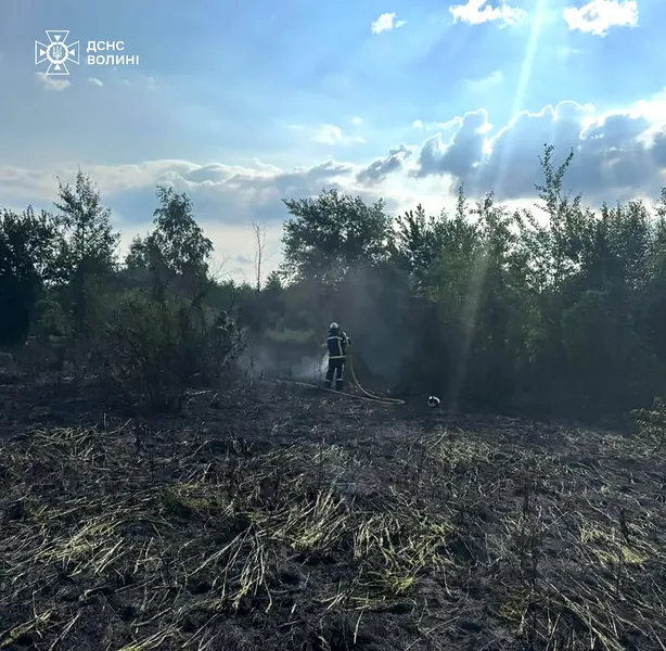 На Волині за добу ліквідували 4 пожежі: триває гасіння торфовищ (фото)