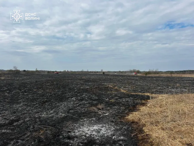 Найтриваліша пожежа на Волині: рятувальники пів доби гасили вогонь на торфовищі (фото)