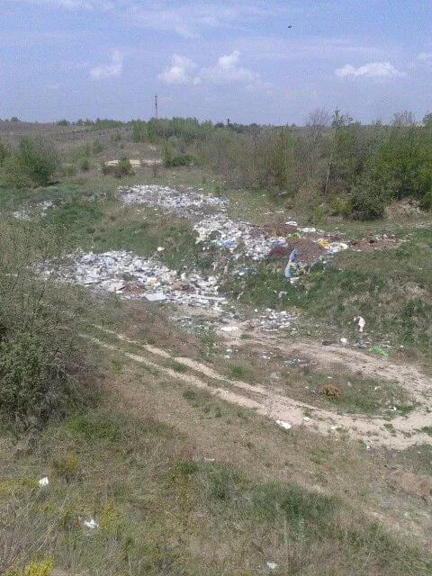 Неподалік від Луцька виявили стихійне сміттєзвалище (фото)