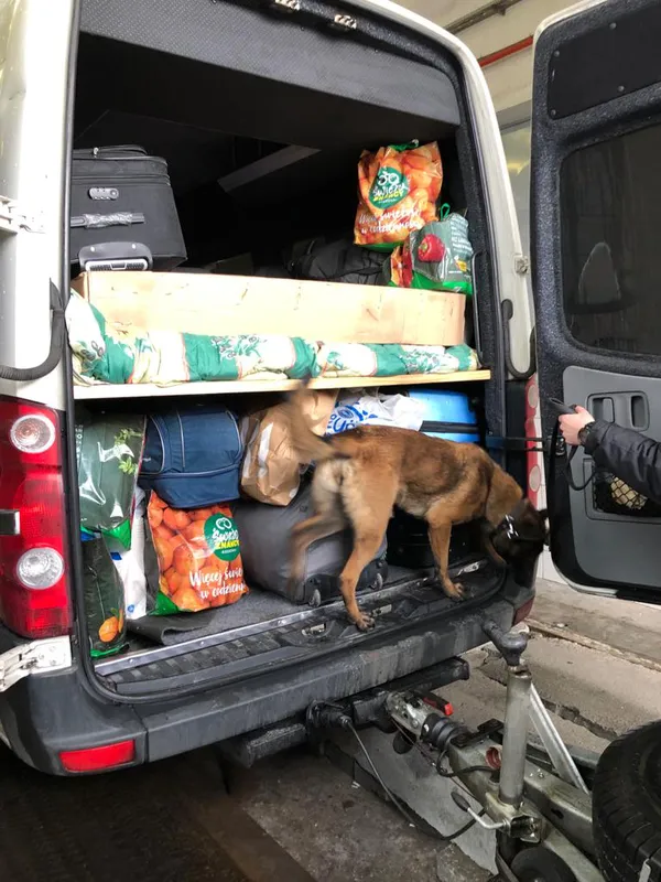 В «Ягодині» у волинянина знайшли наркотики в шкарпетці (фото, відео)