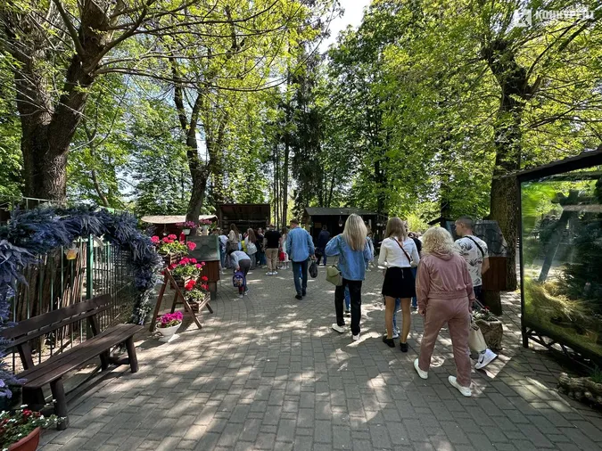 Кого можна зустріти у Луцькому зоопарку у вихідні дні (фото)