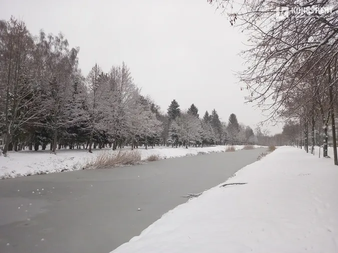 Сніжно і безлюдно: зима у Центральному парку Луцька (фото)