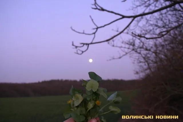 Якою на Волині побачили Суперповню або Рожевий Місяць (фото)
