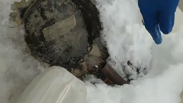 В унікальних Оконських джерел на Волині знову б'є вода (відео)