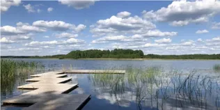 Серед Полісся причаїлось тихе мілководдя, де щороку народжуються нові життя (фото, відео)