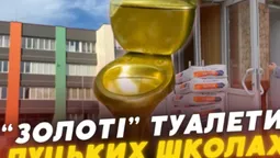 Підозріла фірма і «золоті» туалети: як на луцьких дітях освоюють мільйони (відео)