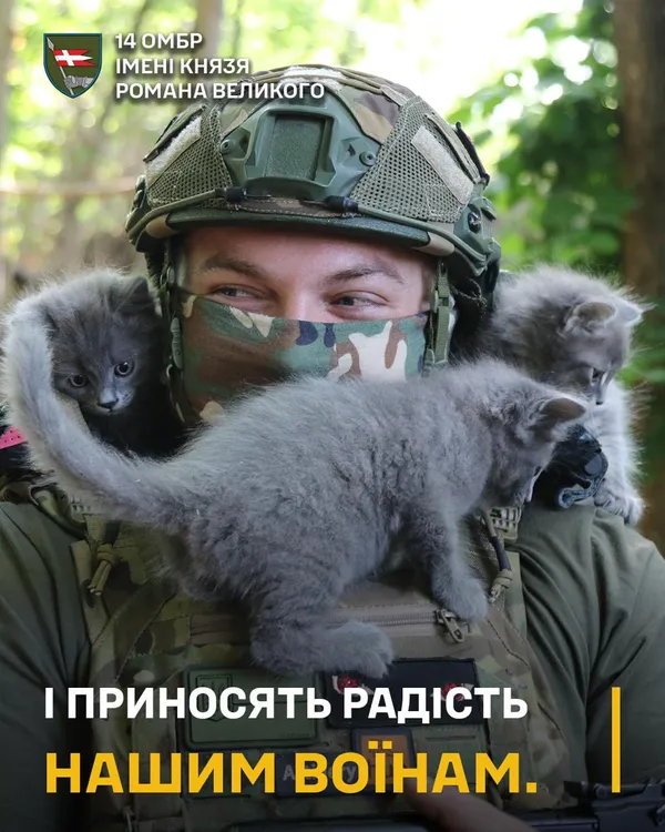 Показали муркотливих ангелів-охоронців артилеристів волинської бригади (фото)