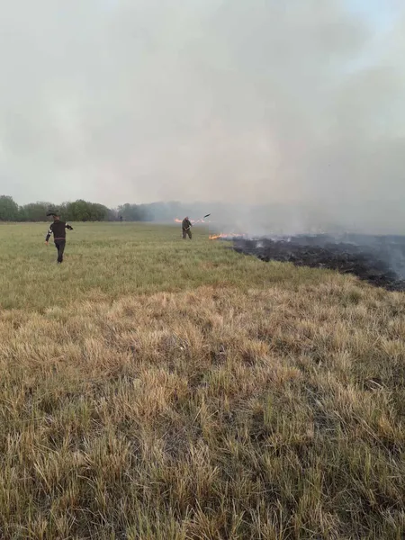На Волині горів нацпарк (фото)