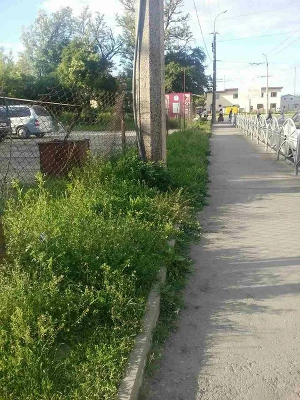 Муніципали перевірили, як косять траву у Луцьку (фото)