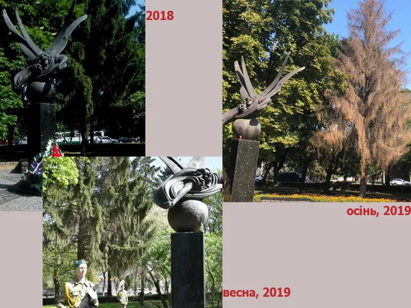 Клімат змінюється: чому Волинь втрачає дерева