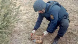 Пішов по гриби: на Волині дідусь знайшов у лісі міни і снаряди (фото)