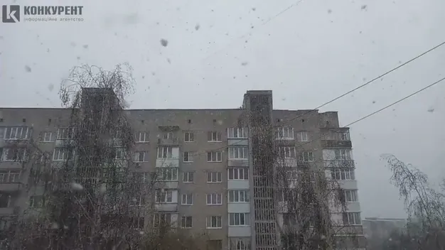 Шалено мете: у Луцьку за лічені хвилини погіршилася погода (відео)