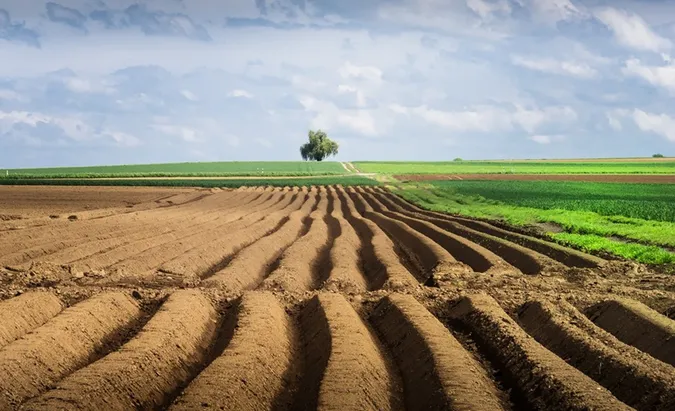 Чи схвалюють українці продаж сільськогосподарських земель (опитування)