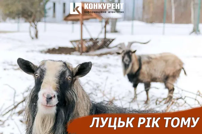 Луцьк рік тому: обморожена дівчина та Гунчик на чемоданах