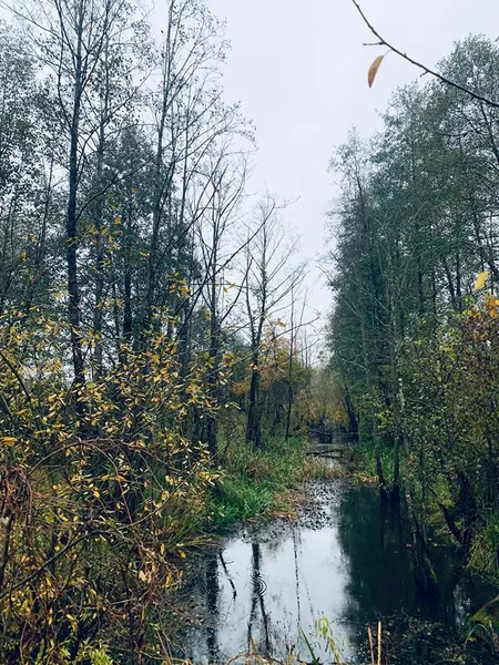На Волині знайшли місце народження Прип'яті (фото)