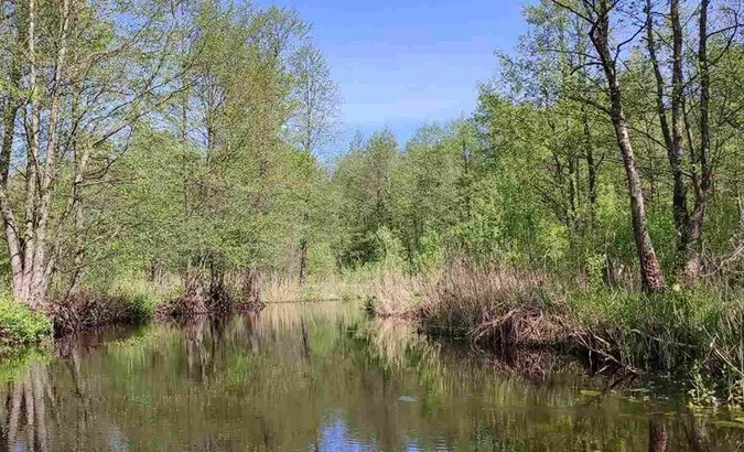 У нацпарк на Волині з вирію не повернувся рідкісний птах