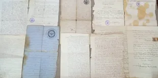 Знайшли на горищі: у музеї на Волині досліджують документи 200-річної давнини (фото)