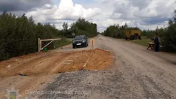 На Волині в зоні африканської чуми діють спецпости (фото)
