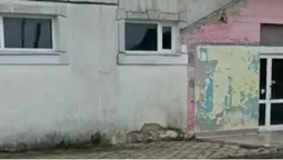 «Атмосфера, яку не забути»: у селі на Волині щовихідних організовують гучні дискотеки (відео)