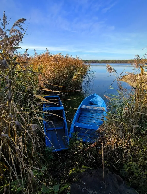 Осінній спокій озера Пісочне у Ковельському районі (фото)