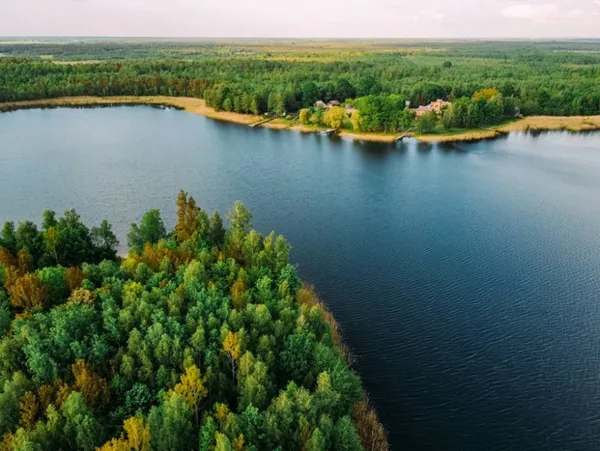 Біле