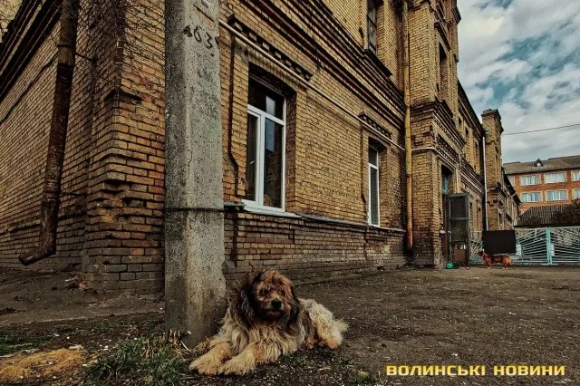 Закутки Луцька: там, де досі палять грубки дровами (фото)