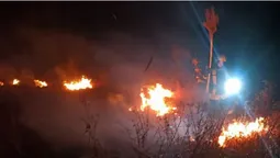 На Волині «господарники» знову взялися за підпали (фото)