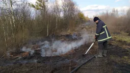 На Волині горіло торфовище (фото, відео)