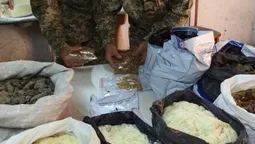 У помешканні волинянина знайшли понад 60 кілограмів бурштину (фото)