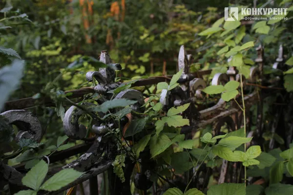Пальма, криниця і «могила хом'яка»: (не)містична прогулянка луцьким цвинтарем (фото)