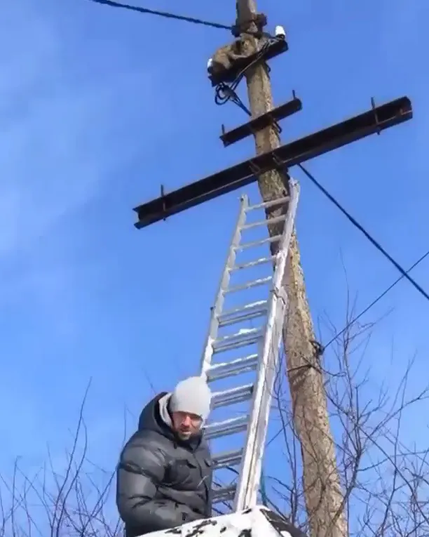 У Нововолинську креативні відчайдухи врятували кота (фото)